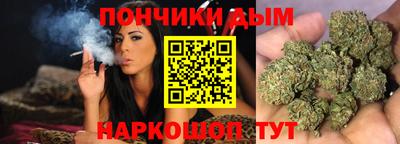 прущие грибы Гусиноозёрск