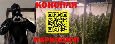 мдпв Гусев