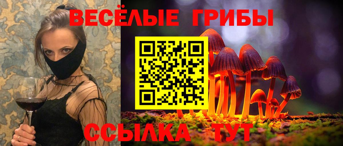 Галлюциногенные грибы GOLDEN TEACHER  купить  цена  Галлюциногенные грибы Psilocybine cubensis  Мариинск  Вход с VPN 